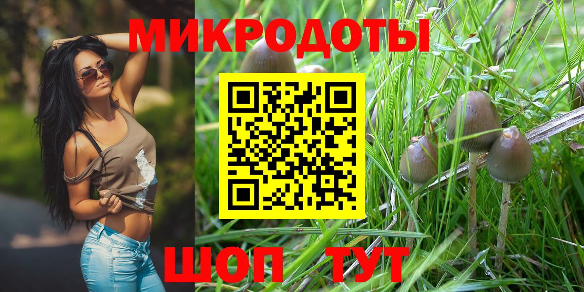 Псилоцибиновые грибы Cubensis  Вход с VPN  Ливны 